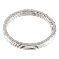 Exhaust Gasket