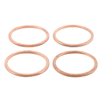 Exhaust Gasket