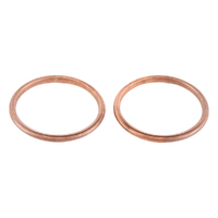 Exhaust Gasket