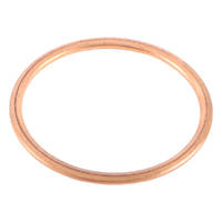 Exhaust Gasket