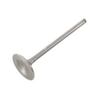 Intake Valve Titanium