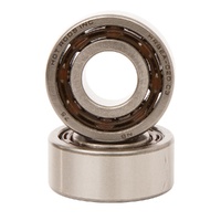 Counter Balancer Bearings Kit