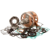 Bottom End Rebuild Kit