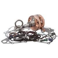 Bottom End Rebuild Kit