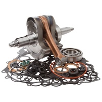 Bottom End Rebuild Kit