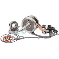 Bottom End Rebuild Kit