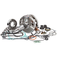 Bottom End Rebuild Kit