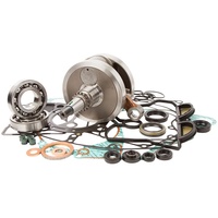 Bottom End Rebuild Kit