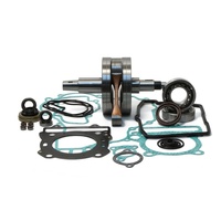 Bottom End Rebuild Kit