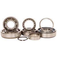 Transmission Bearing Kit