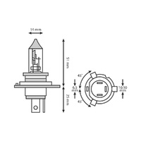 Halogen Bulb - 12V 35/35W HS1 PX43T - Each