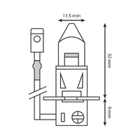 Halogen Bulb - 12V 35W Clear Headlight - Each