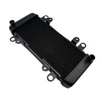 Radiator Black