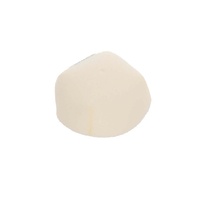 Air Filter - Dust Cover