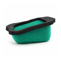 Air Filter - Preoiled