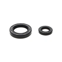 Crankshaft Main Oil Seal - Kit