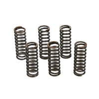 Clutch Springs Kit - Performance - 6