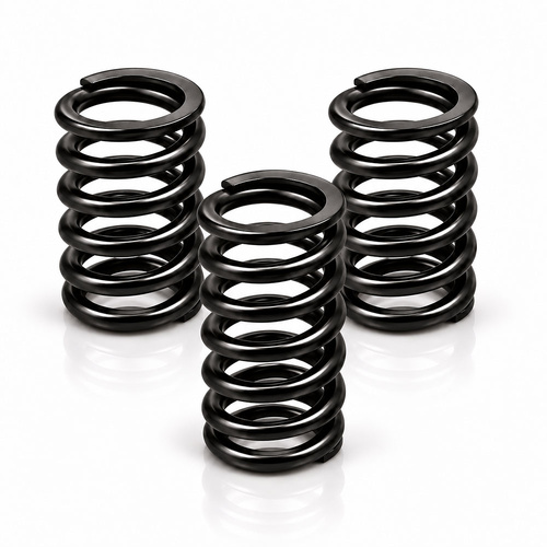 Clutch Spring Kit - 3