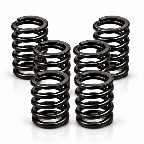 Clutch Spring Kit - 6