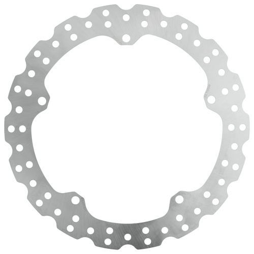 Brake Disc Rotor - Front
