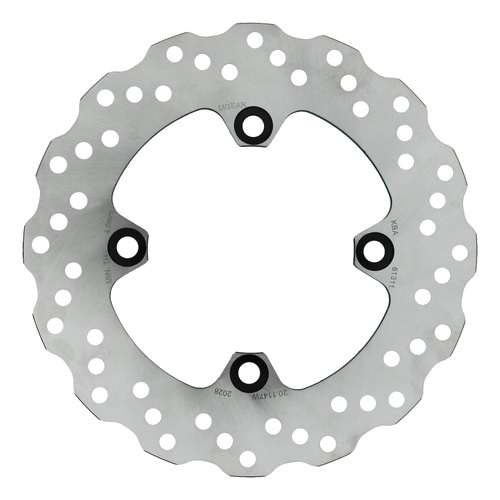 Brake Disc Rotor - Rear