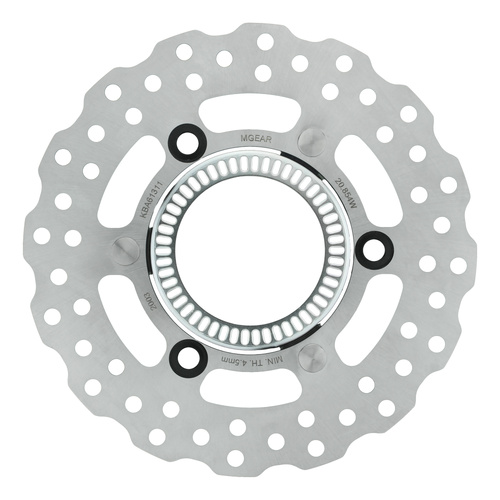 Brake Disc Rotor - Rear ABS