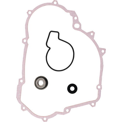 Water Pump Rebuild Kit