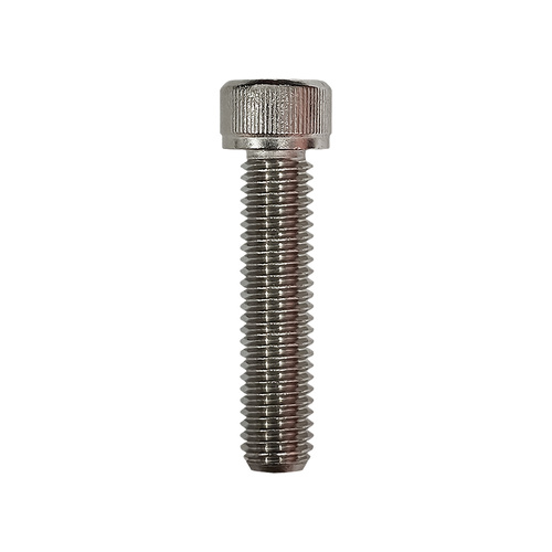 Screw Stainless - Allen - M8 x 40mm  - 25 Bag