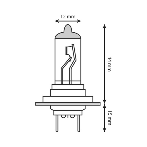 Halogen Bulb - 12V 55W H7 - Each